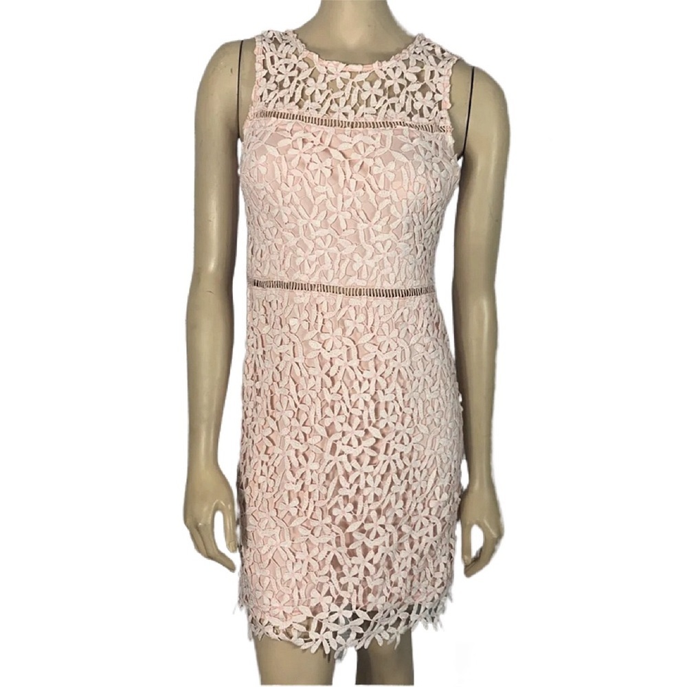 Aqua NWT Floral Lace Dress in blush and white - Picture 1 of 6